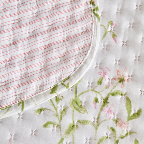 Sarah Anderson Sera Tweepersoons Beddeken Poeder